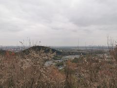 -上海佘山国家森林公园西佘山园