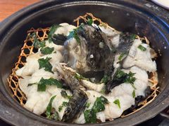 九层塔焗龙胆石斑-林四喜·闽南传家菜(鼓浪屿店)