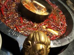 -渝大狮毛肚老火锅(普陀店)