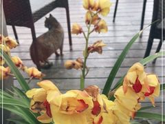 -荷风细雨·中国茶宴(碧云店)