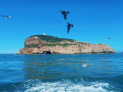-海驴岛(荣成市)