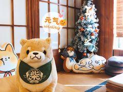 -豆柴町-柴犬主题狗咖(红鼎国际C座店)