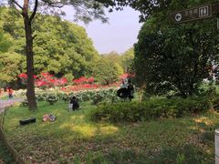 -东湖落雁景区