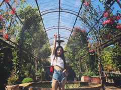 -The Grounds of Alexandria