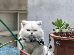 -大洋晶典(东街店)