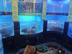 -千岛湖小鱼儿·淳安匠心农家菜