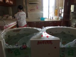 -喜喜月子(瑞虹天地店)