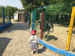 -武汉紫薇都市田园