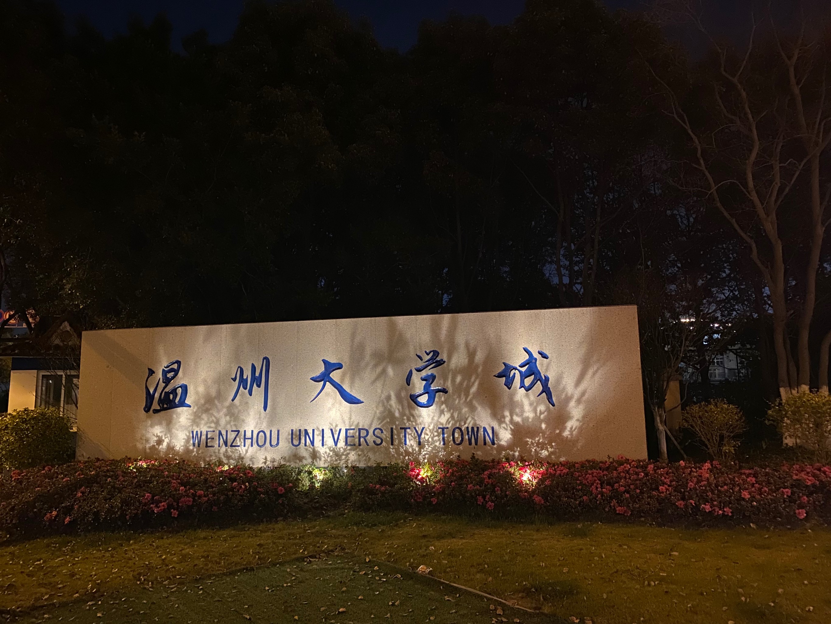 温州龙湾城市大学图片