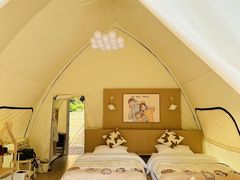 -江西阳明山国家森林公园