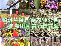 -兰陵国家农业公园