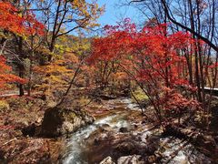 -丹东天桥沟景区