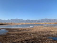 -野鸭湖国家湿地公园