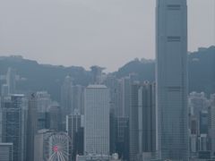 -海港城