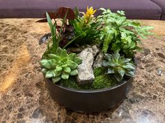 -桃花源中餐厅(金茂豪华精选酒店)