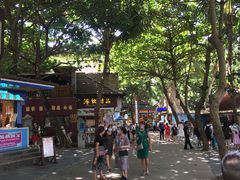 -海南分界洲岛旅游区