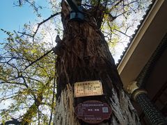 -遵义会议纪念馆