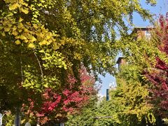 -辽宁大学(崇山校区)