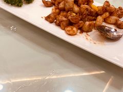 -丁老爷子苏香圆