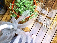 -宁波余姚老柿林山居度假村