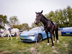 -北京群众马术培训基地