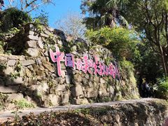 -塔川景区
