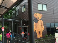 -济州岛泰迪熊博物馆