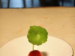 -点都德·毕德寮