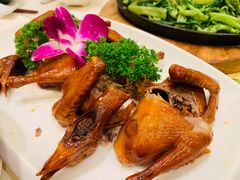 红烧乳鸽-沙龙酒家