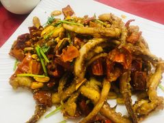 脆椒辣鱿鱼-兴国苑酒店