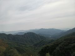 -大岭沟猕猴桃谷风景区