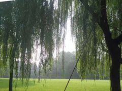 -柳浪闻莺公园