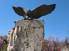 -北京鹫峰国家森林公园