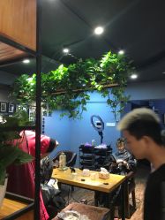 -藤野造型