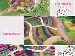 -万绿园