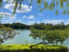 -西湖公园(鼓楼区)