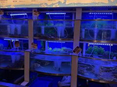 -七欣天香辣蟹火锅(苏州塔园路店)