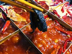 -肥龙火锅(南坪店)
