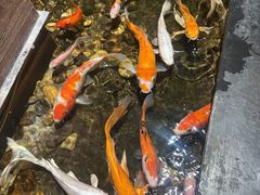 -颐和•海鲜砂锅粥•啫啫煲(奥林匹克广场店)