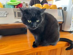 -春风十里咖啡馆