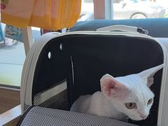 -美联众合24小时·皮肤科·外科·全科诊疗中心(华苑分院)