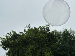 -乐山第一家临江鳝丝(茶坊路店)