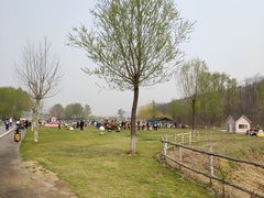 -大连铭湖国际观光牧场
