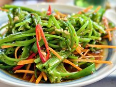 -春天里餐厅·云南创意菜特色美食(束河店)