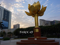 -金莲花广场
