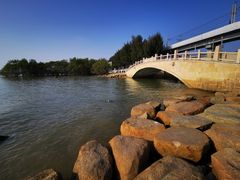 -宝安西湾红树林湿地公园