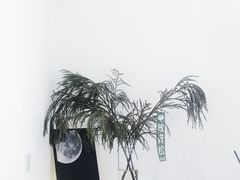 -花沐 FLOWER BATH(凤凰城店)