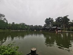 -金花茶公园