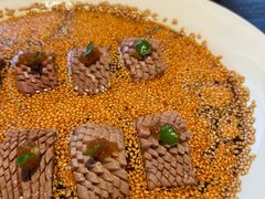 -甄御•海鲜新青岛菜(麦岛店)