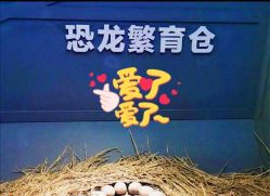 -恐龙探索乐园(磁器口店)